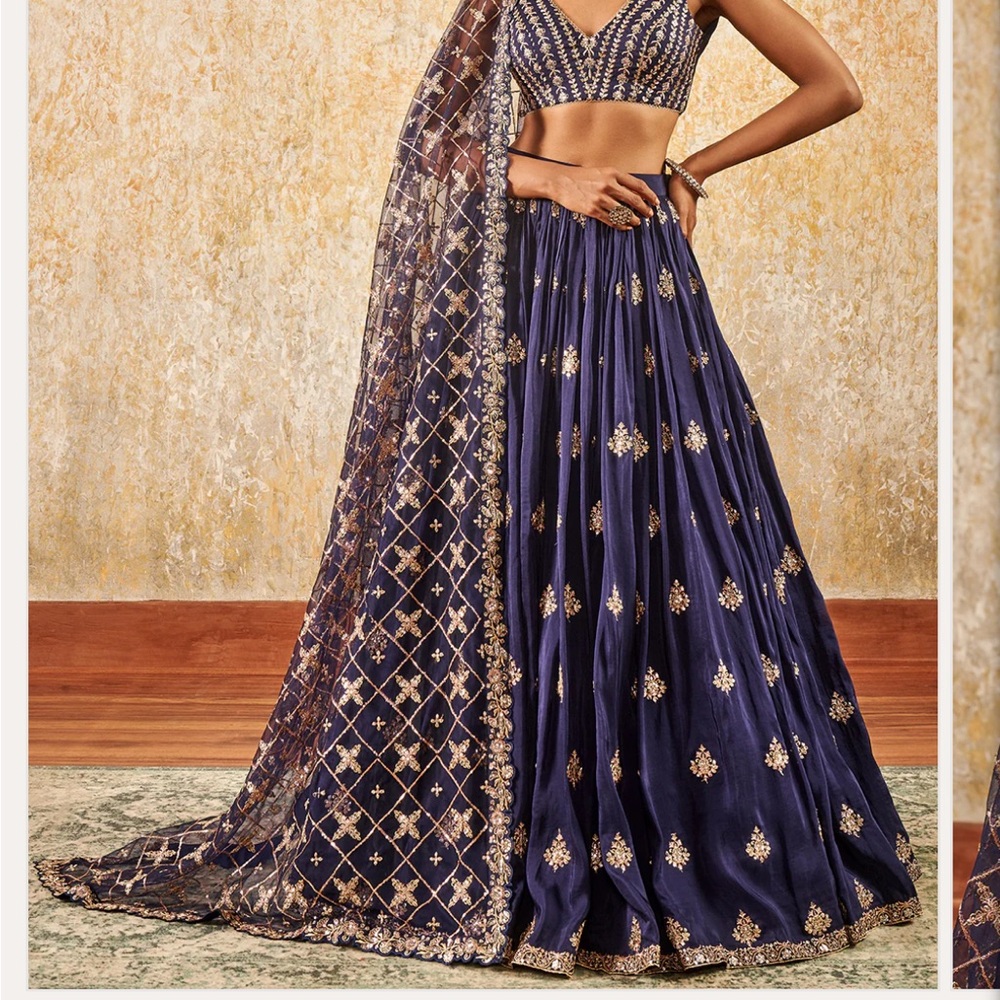 Elegant Navy Blue Embellished Lehenga Choli